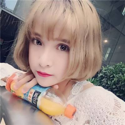 暴龙大冒险变态版